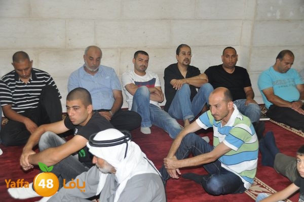 bazsalah lud 712 (71).JPG